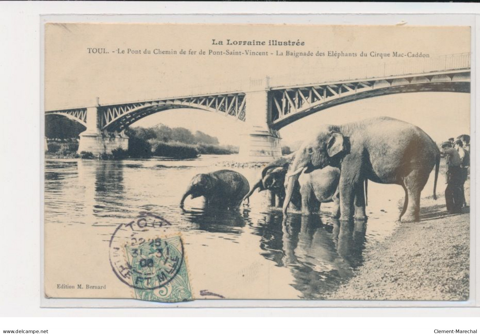 TOUL - Le Pont Du Chemin De Fer De Pont-Saint-Vincent - La Baignade Des éléphants Du Cirque Mac-Caddon - Très Bon état - Toul