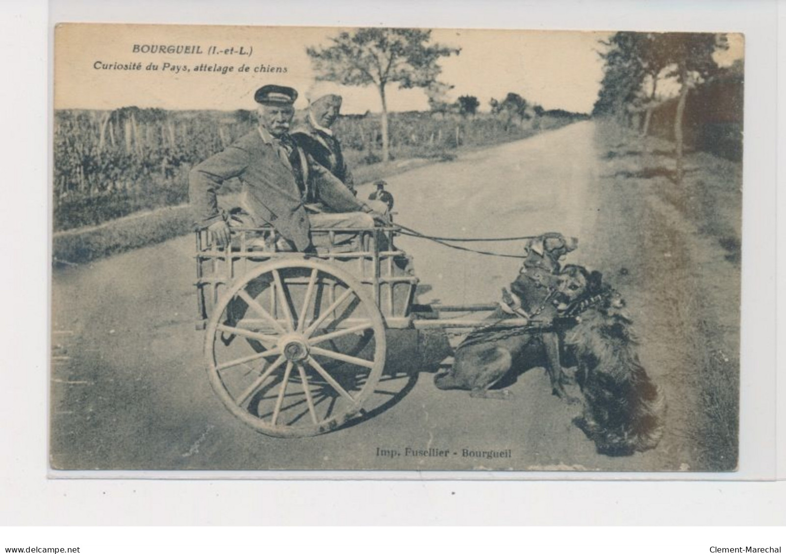 BOURGUEIL - Curiosités Du Pays, Attelage De Chiens - Très Bon état - Altri & Non Classificati