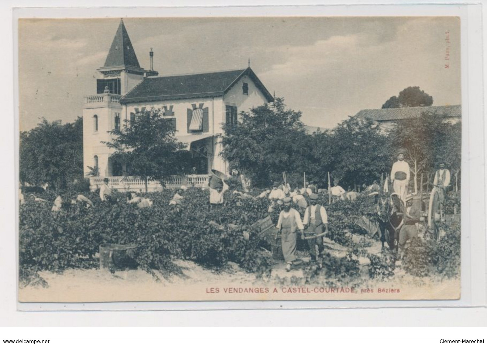 BEZIERS - Les Vendanges à Castel-Courtade - état - Beziers