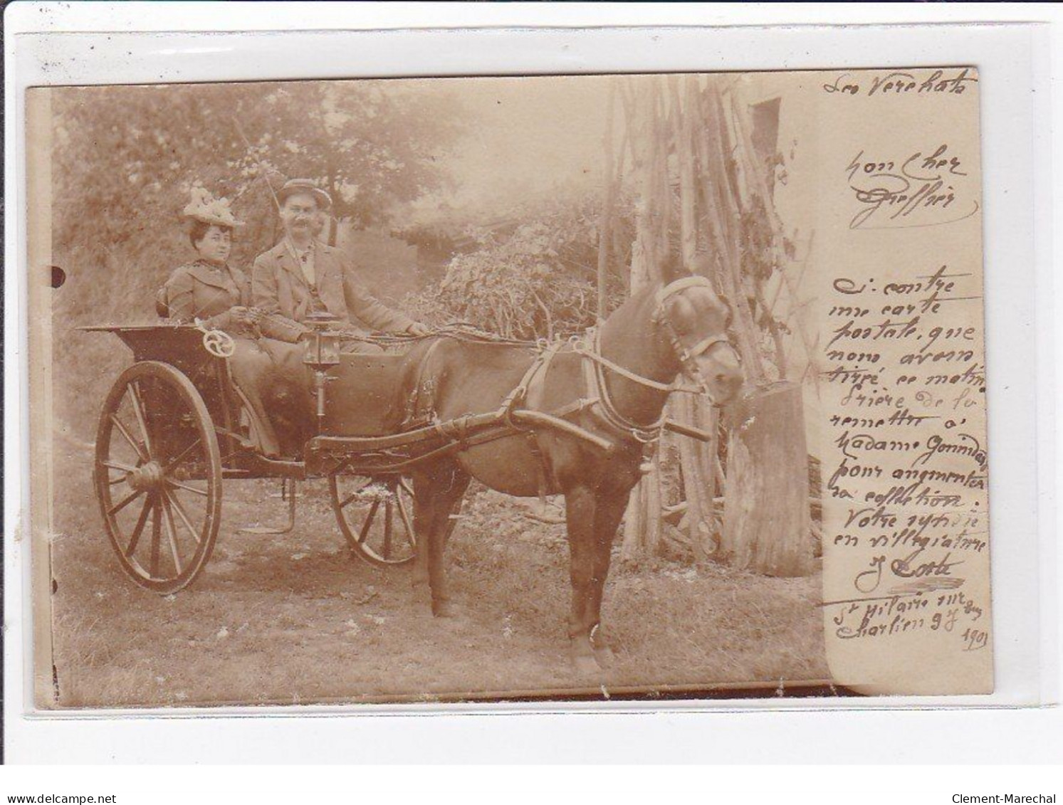 SAINT HILAIRE SOUS CHARLIEU (Les Verchats ?) : Carte Photo D'un Attelage - Très Bon état - Other & Unclassified