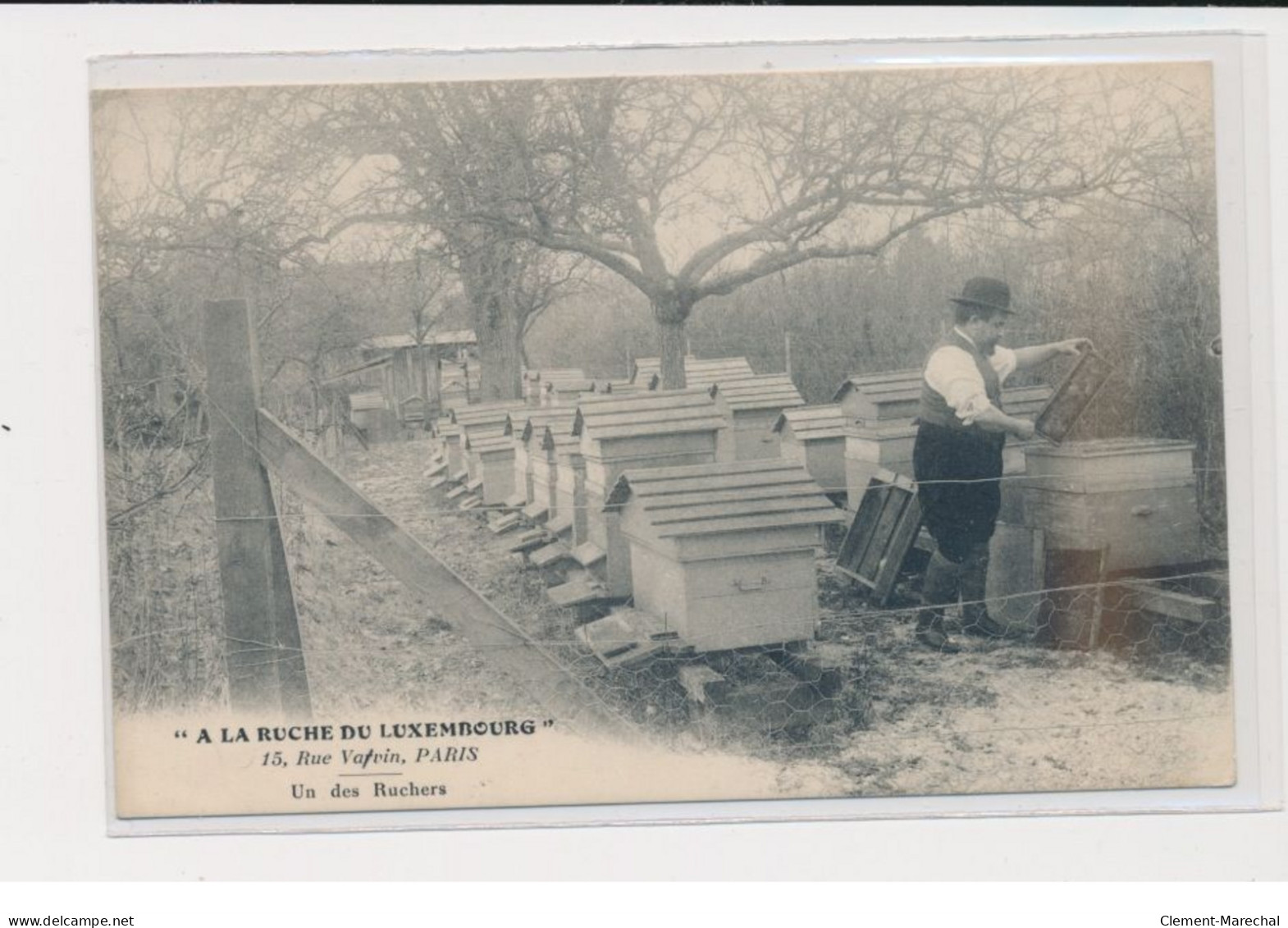 PARIS - A La Ruche Du Luxembourg - Apiculture 15 Rue Vavin - Un Des Ruchers - 75006 - état - Distrito: 06