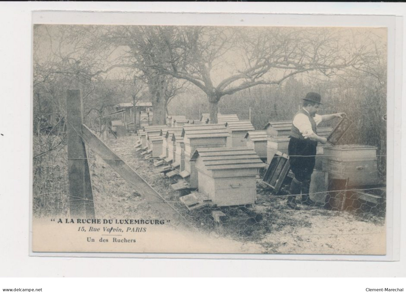 PARIS - A La Ruche Du Luxembourg - Apiculture 15 Rue Vavin - Un Des Ruchers - 75006 - Très Bon état - Distrito: 06