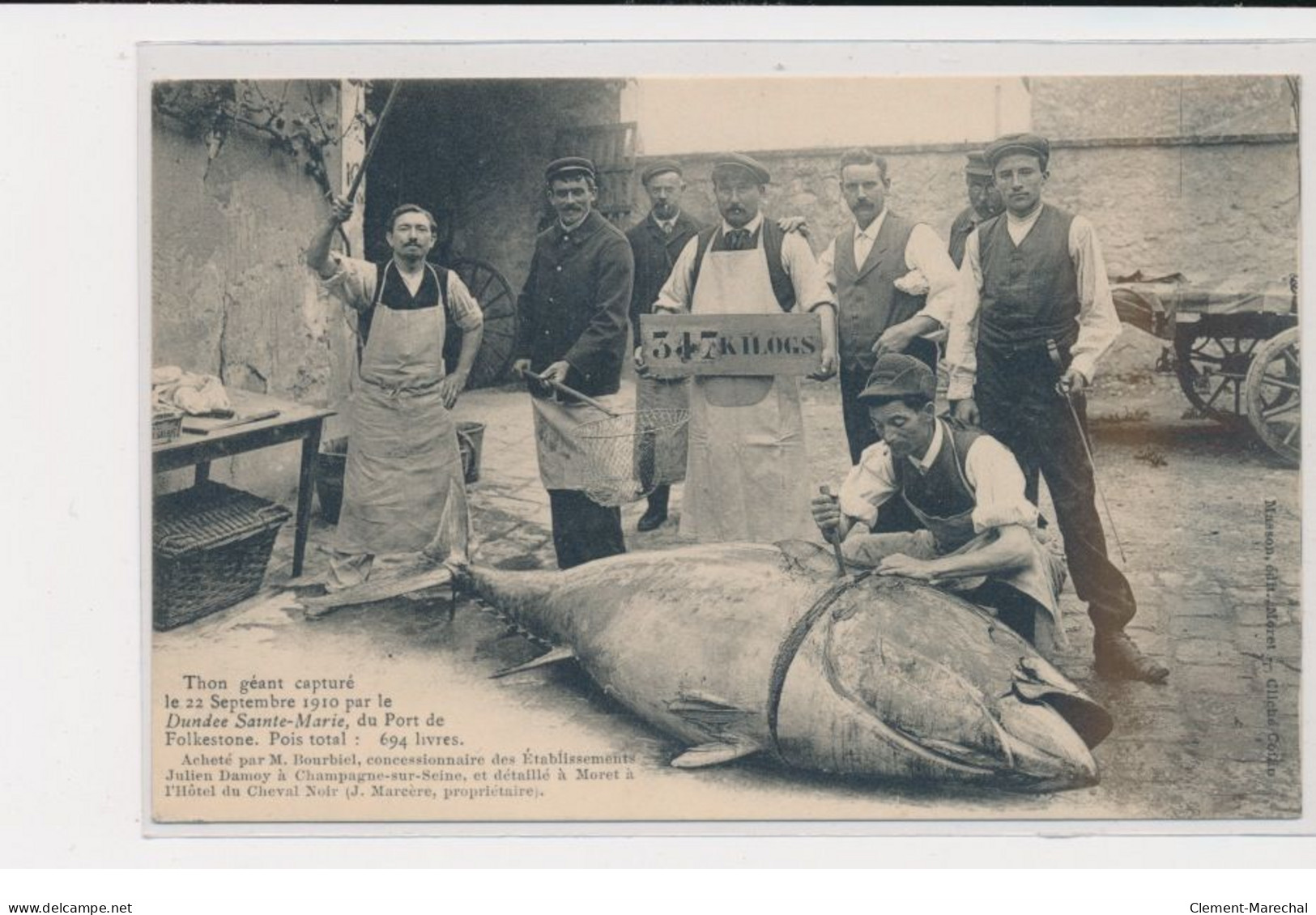 Thon Géant Capturé Par Le Dundee Ste Marie, Du Port De Folkestone - 1910 - état - Other & Unclassified