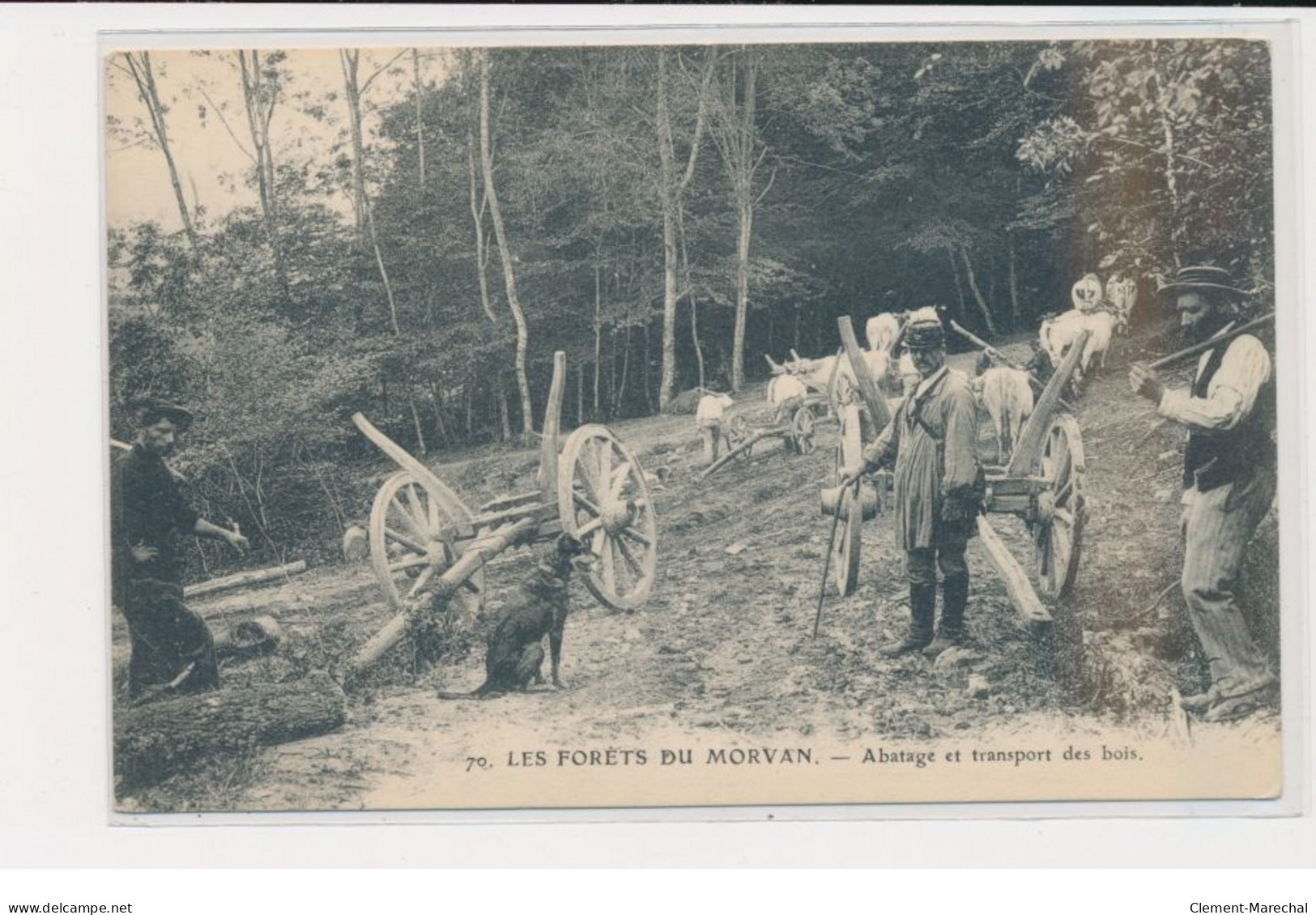 Les Forêts Du Morvan - Abatage Et Transport Des Bois - Très Bon état - Other & Unclassified