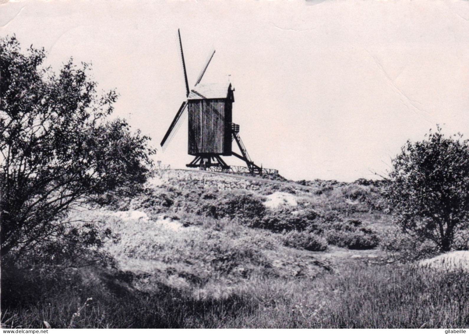 COXYDE Les  BAINS - KOKSIJDE  - Le Vieux Moulin - De Oude Moulen - Koksijde