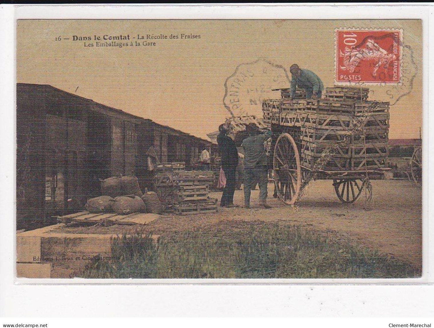 Dans Le COMTAT : La Récolte Des Fraises, Lot De 5 Cartes Postales - état - Andere & Zonder Classificatie