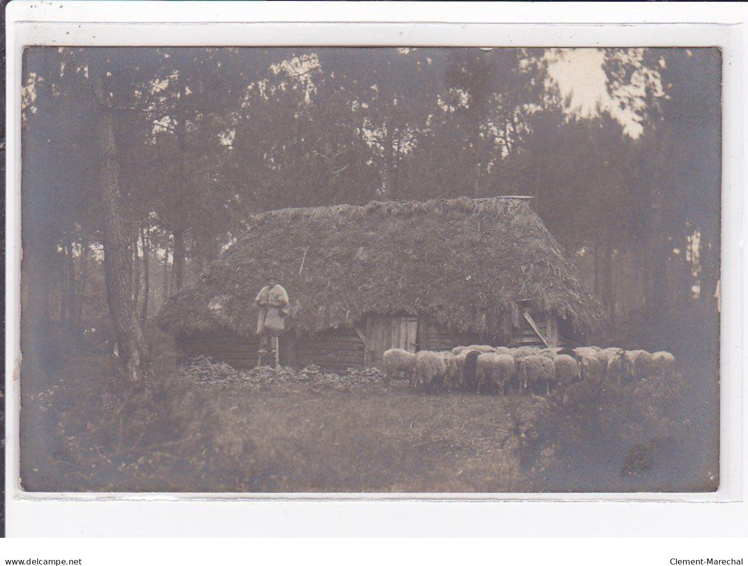 LANDES : Carte Photo D'un Berger Sur Ces échasses - Très Bon état - Autres & Non Classés