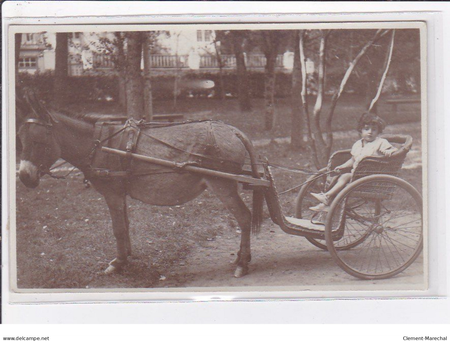 LA BAUMLE : Carte Photo D'un Attelage à âne - Très Bon état - La Baule-Escoublac