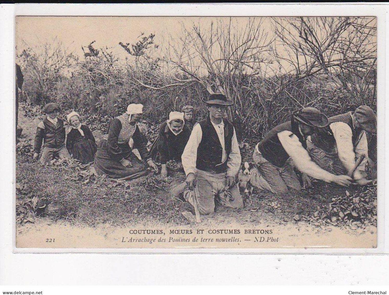 L'Arrachage Des Pommes De Terre Nouvelles, C.M.C.B - Très Bon état - Autres & Non Classés