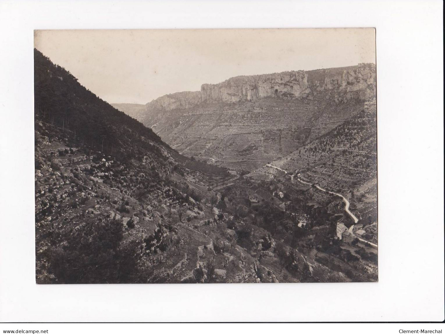 AVEYRON, Millau, Vallée De La Jonte, Photo Auclair-Melot, Environ 23x17cm Années 1920-30 - Très Bon état - Orte