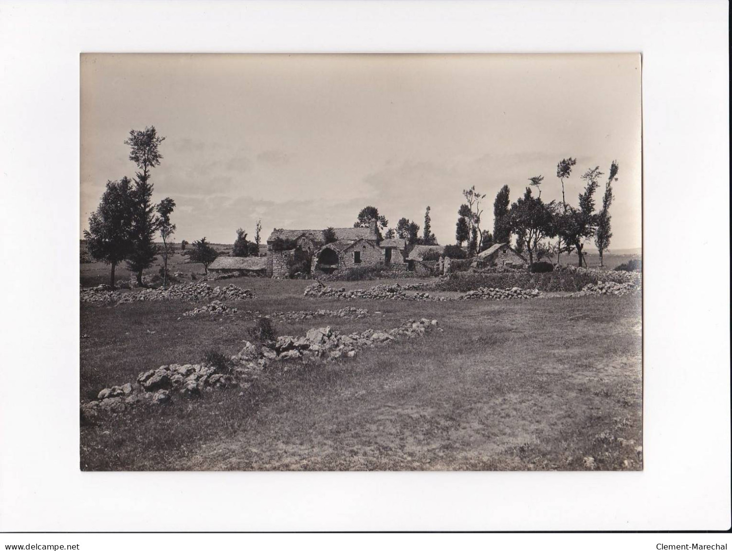 AVEYRON, Le Maubert, Une Firme, Photo Auclair-Melot, Environ 23x17cm Années 1920-30 - Très Bon état - Lieux