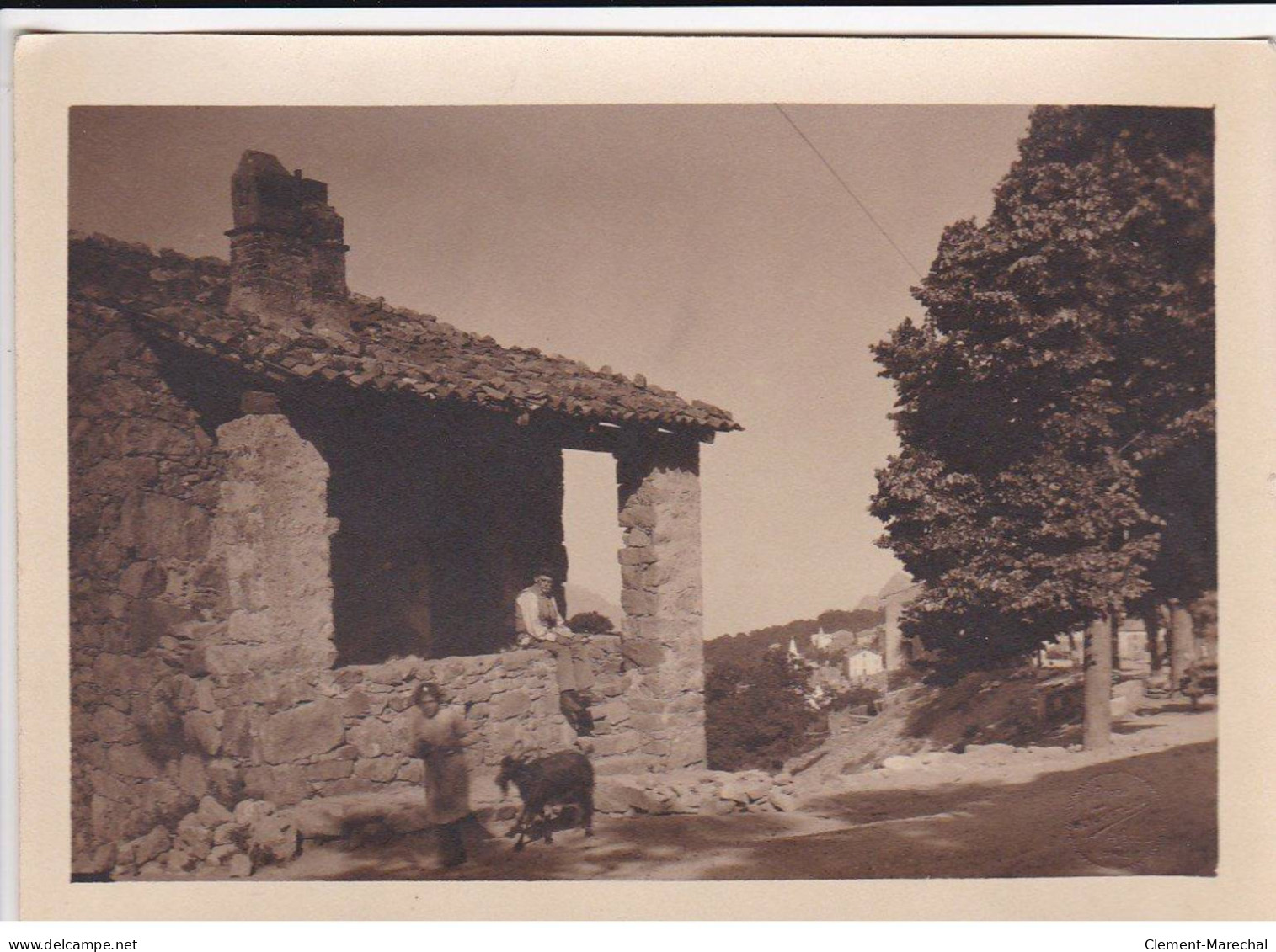 CORSE : Lot De 12 Photos, Environ 18x13cm, Années 1920-30  (photo TOMASI) - Très Bon état - Orte