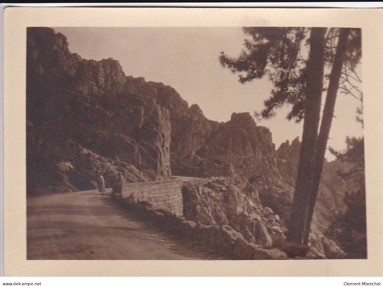 CORSE : Lot De 12 Photos, Environ 18x13cm, Années 1920-30  (photo TOMASI) - Très Bon état - Orte