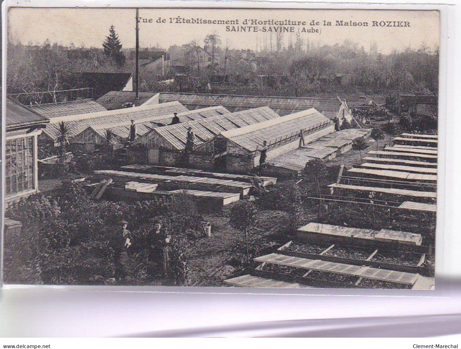 SAINT SAVINE - Vue De L'établissement D'horticulture De La Maison Rozier - Très Bon état - Autres & Non Classés