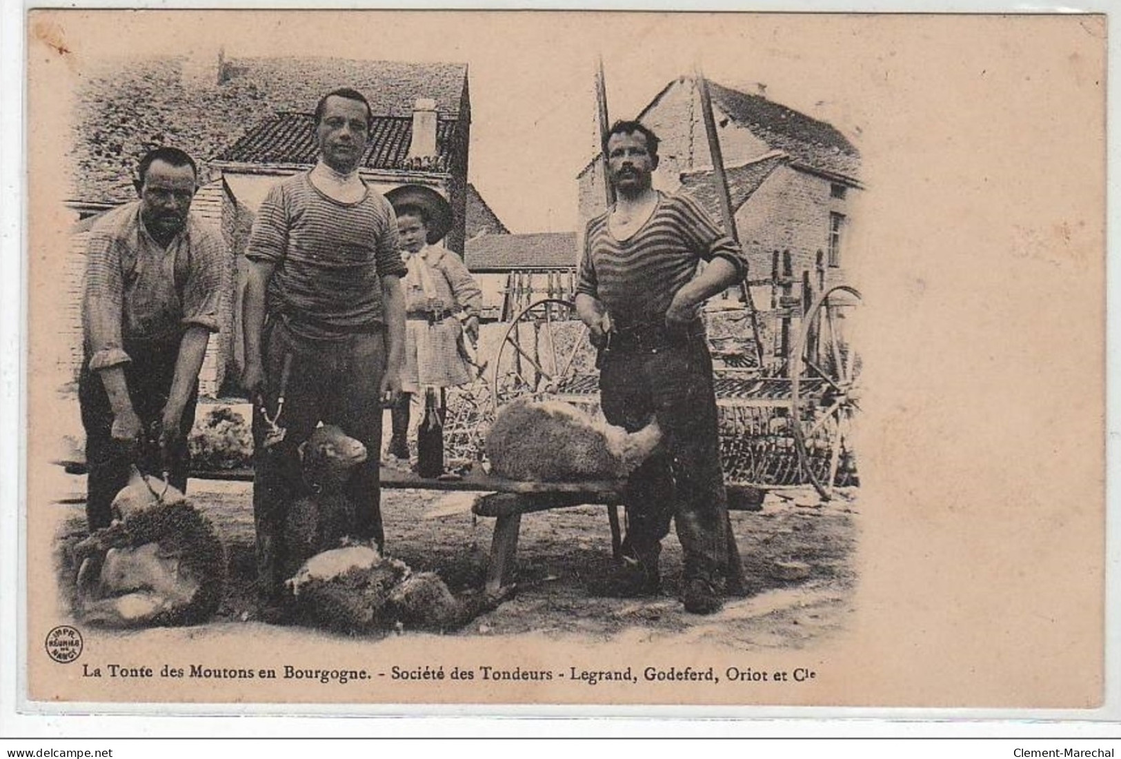 La Tonte Des Moutons En Bourgogne - Société Des Tondeurs - Legrand, Godeferd, Oriot Et Cie - Très Bon état - Other & Unclassified