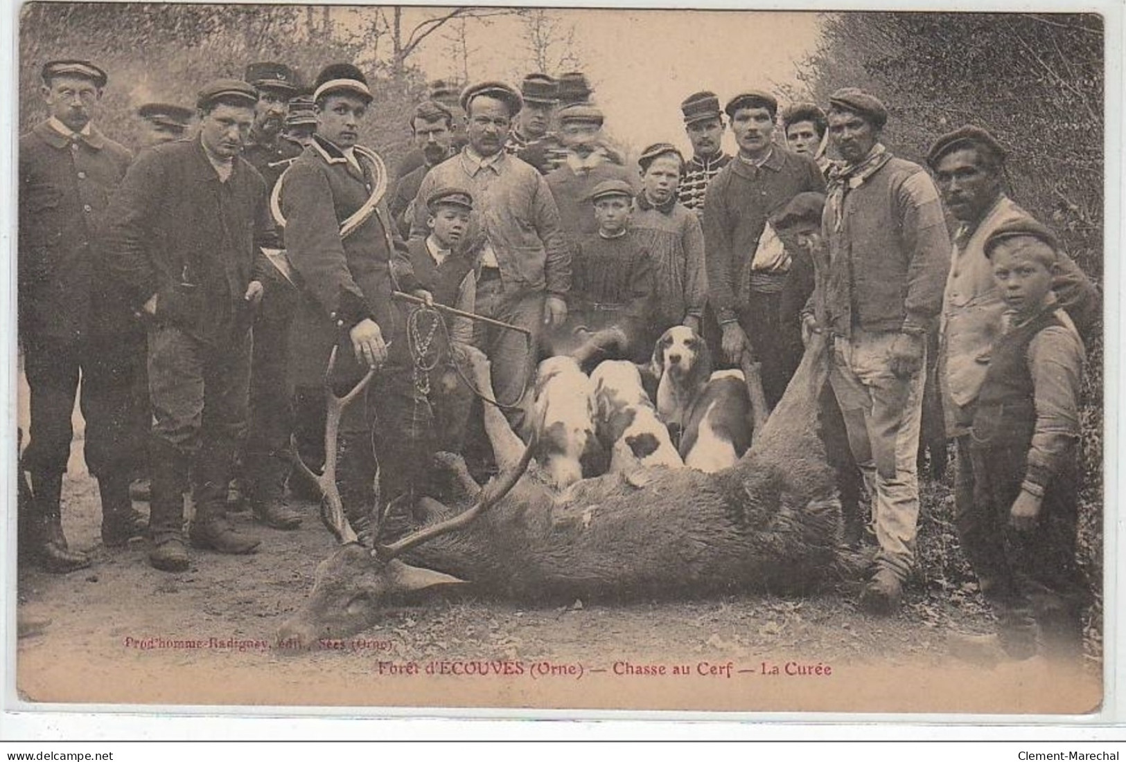 Forêt D'ECOUVES : La Chasse Au Cerf - La Curée (chasse à Courre) - Très Bon état - Andere & Zonder Classificatie