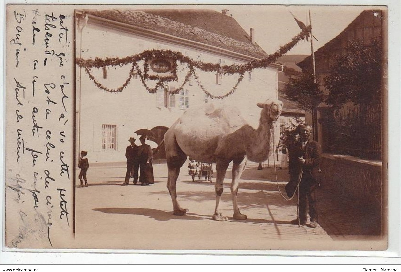 ORLEANS : Carte Photo D'un Chameau Lors Du Passage D'un Cirque En 1908 - Très Bon état - Orleans