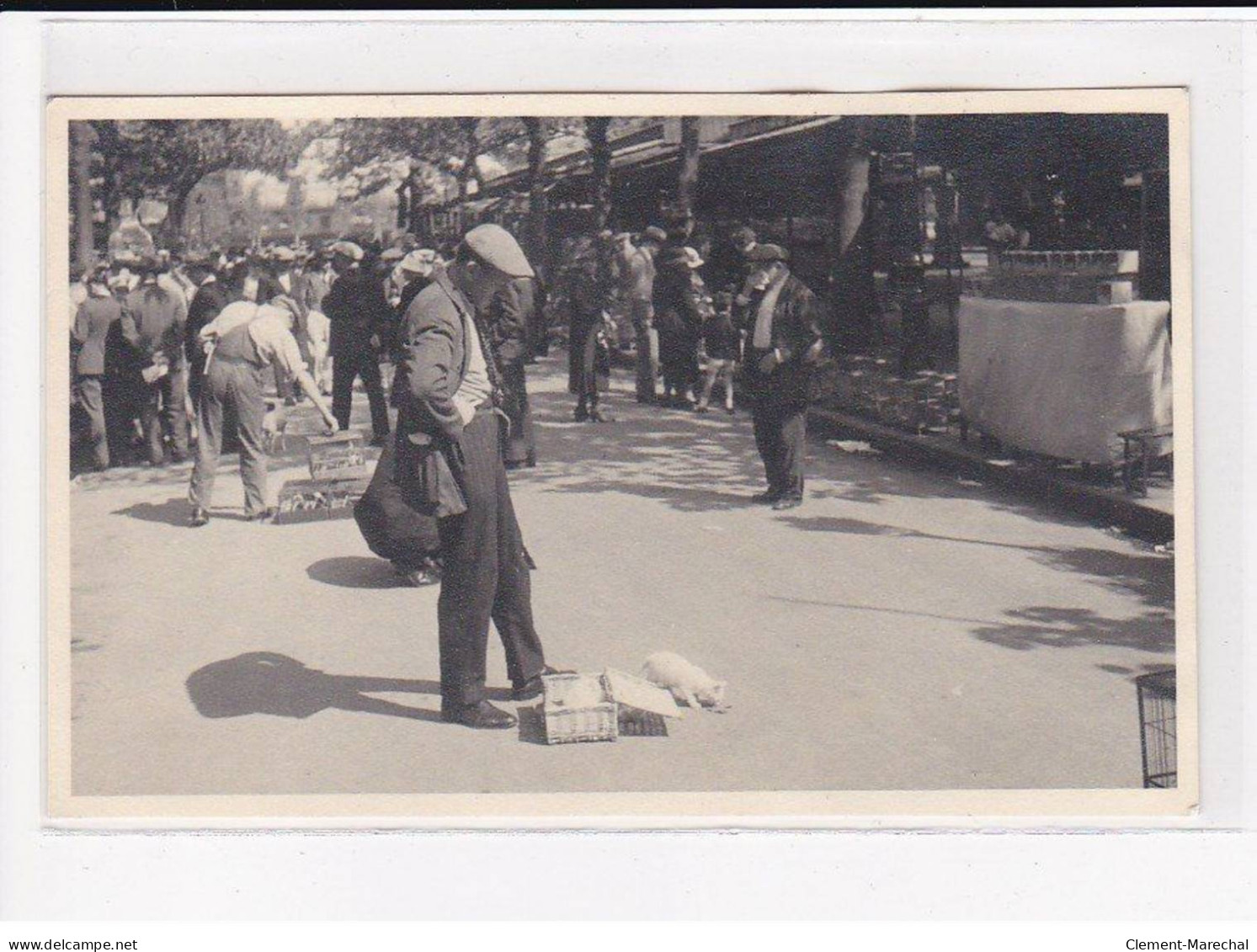 PARIS 4ème Arrondissement : Marché Aux Animaux, Ile De La Cité - Très Bon état - District 04