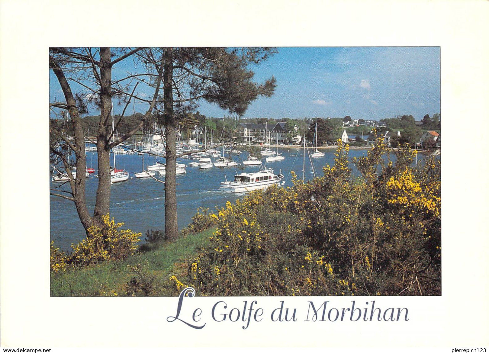 56 - Le Golfe Du Morbihan - Les Rives Du Golfe Du Morbihan - Andere & Zonder Classificatie