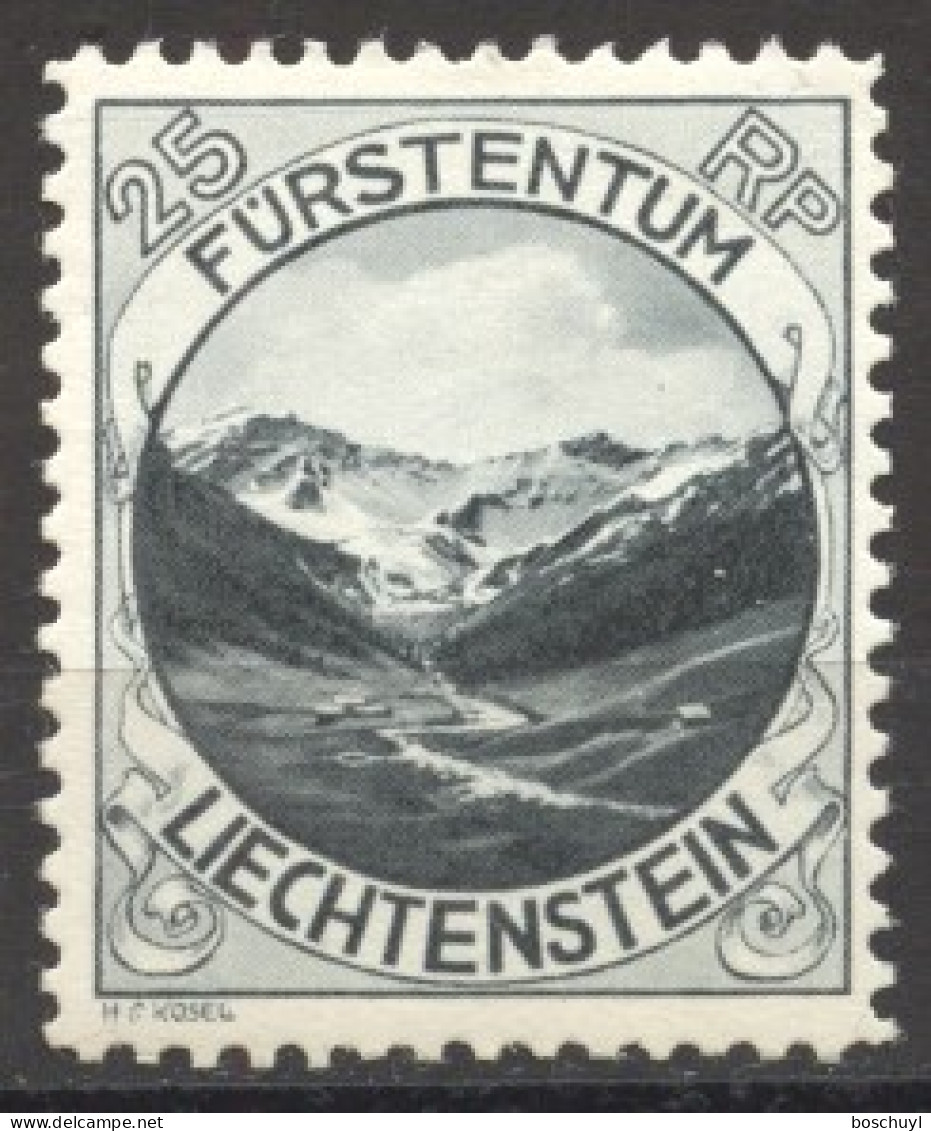 Liechtenstein, 1930, Mountains, Landscape, Scenery, 25 Rp, MNH, Michel 98A - Unused Stamps