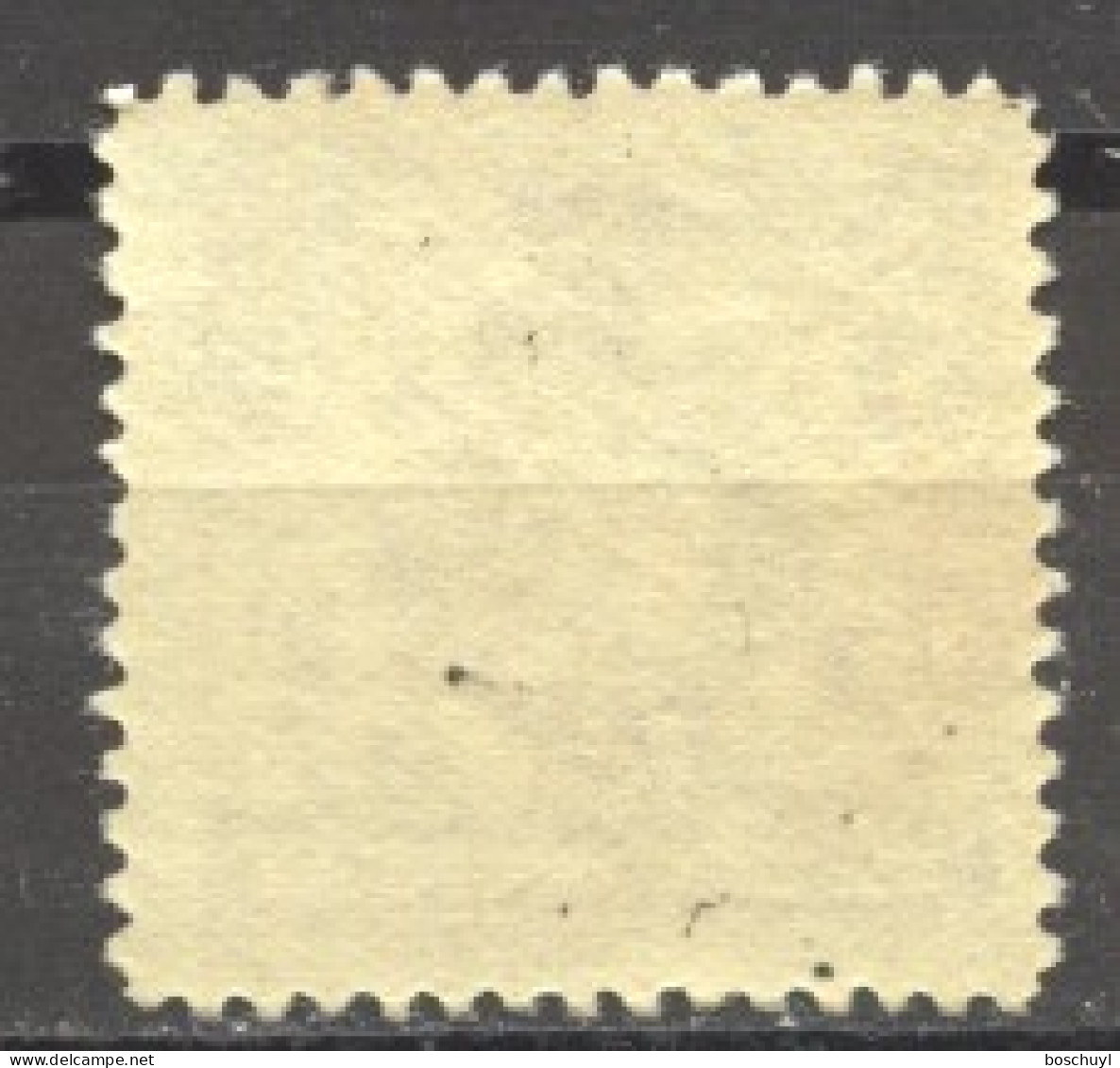 Liechtenstein, 1921, Heraldry, 13 Rp, MNH, Michel 51B - Nuovi