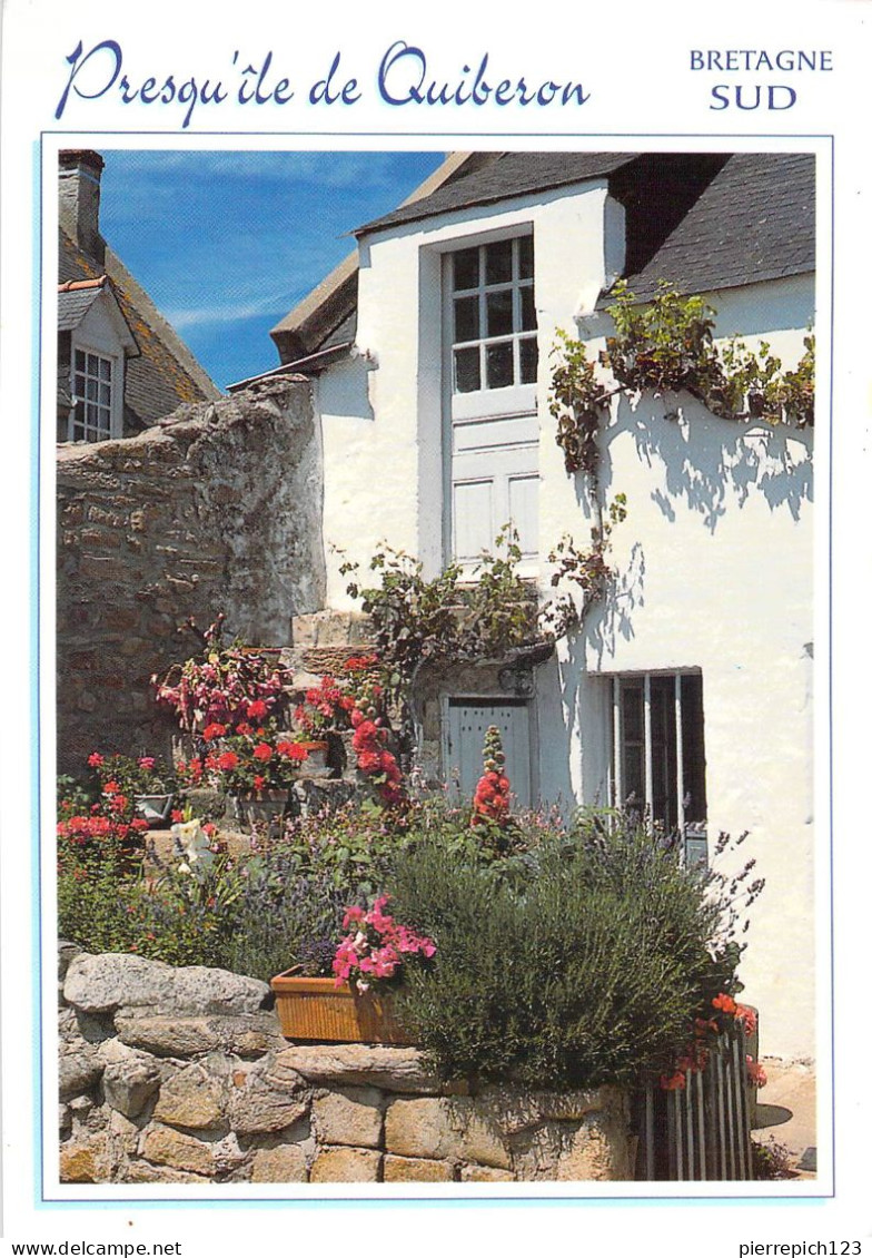 56 - La Presqu'île De Quiberon - Maison Typique - Quiberon