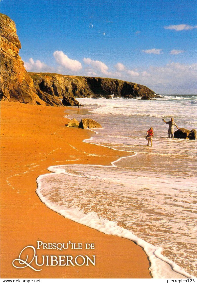 56 - La Presqu'île De Quiberon - La Plage De Port Blanc Et Les Falaises De La Côte Sauvage - Quiberon