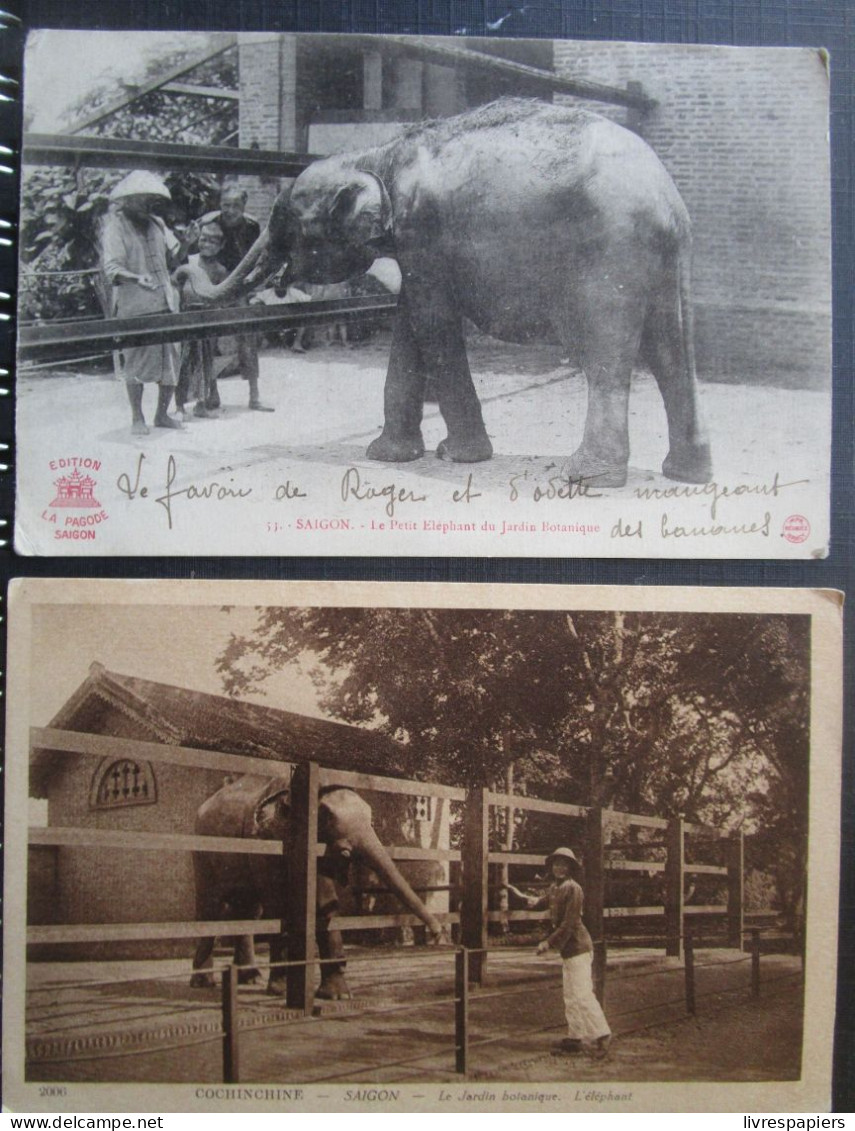 Indochine Lot 2  Cpa Elephant Saigon - Viêt-Nam