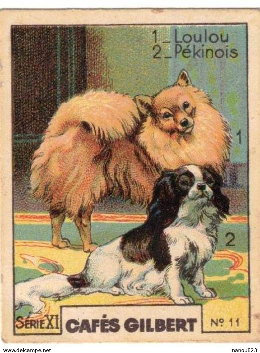 IMAGE CHROMO PUBLICITAIRE PUBLICITE CAFE GILBERT POITIERS PARIS FAUNE ANIMAL CHIEN PEKINOIS ET LOULOU DE POMERANIE DOG - Tee & Kaffee