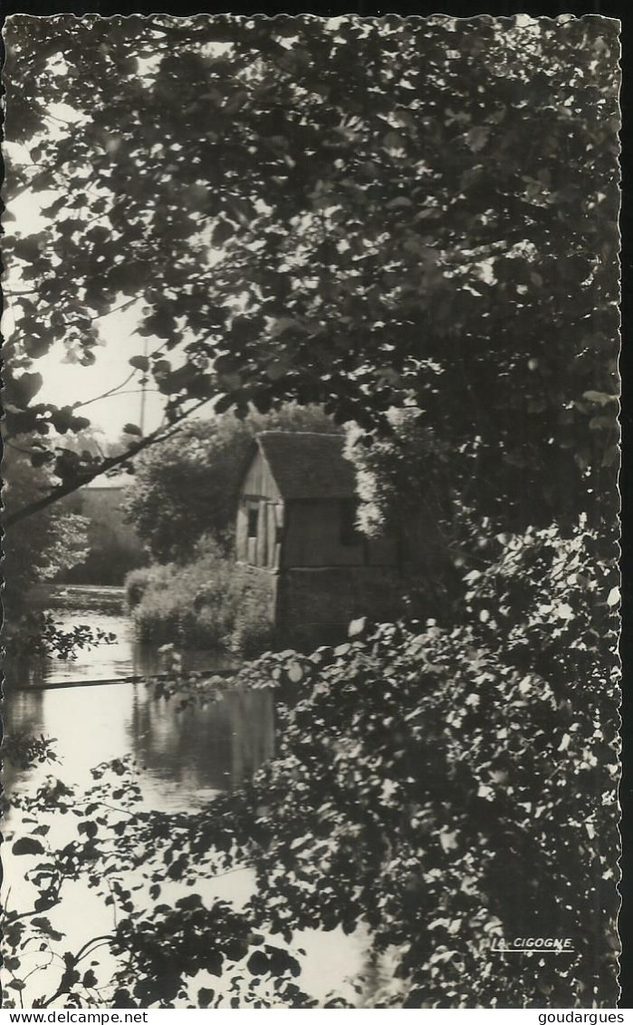 Neufchâtel-en-Bray - Un Coin Pittoresque De La Béthune - (P) - Neufchâtel En Bray