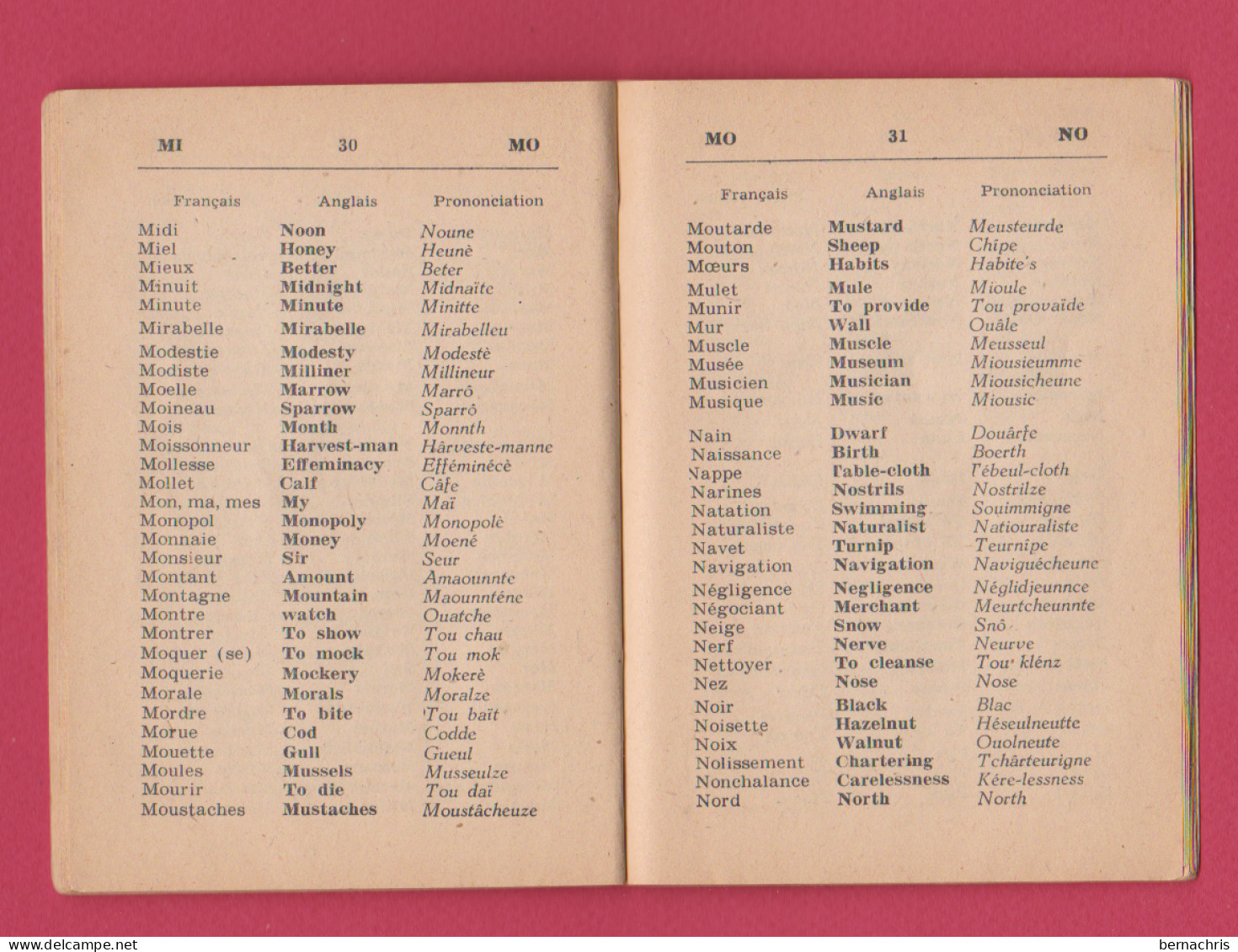 Dictionnaire Français - Anglais - Altri & Non Classificati