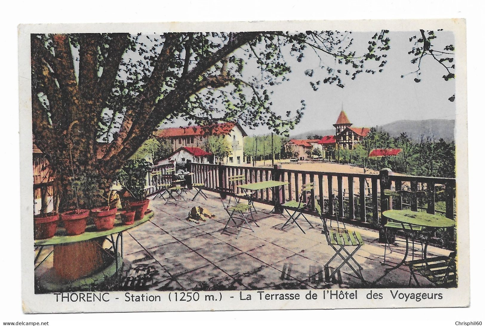 THORENC - La Terrasse De L'Hôtel Des Voyageurs - Coll. Trotobas - Circulé - - Sonstige & Ohne Zuordnung