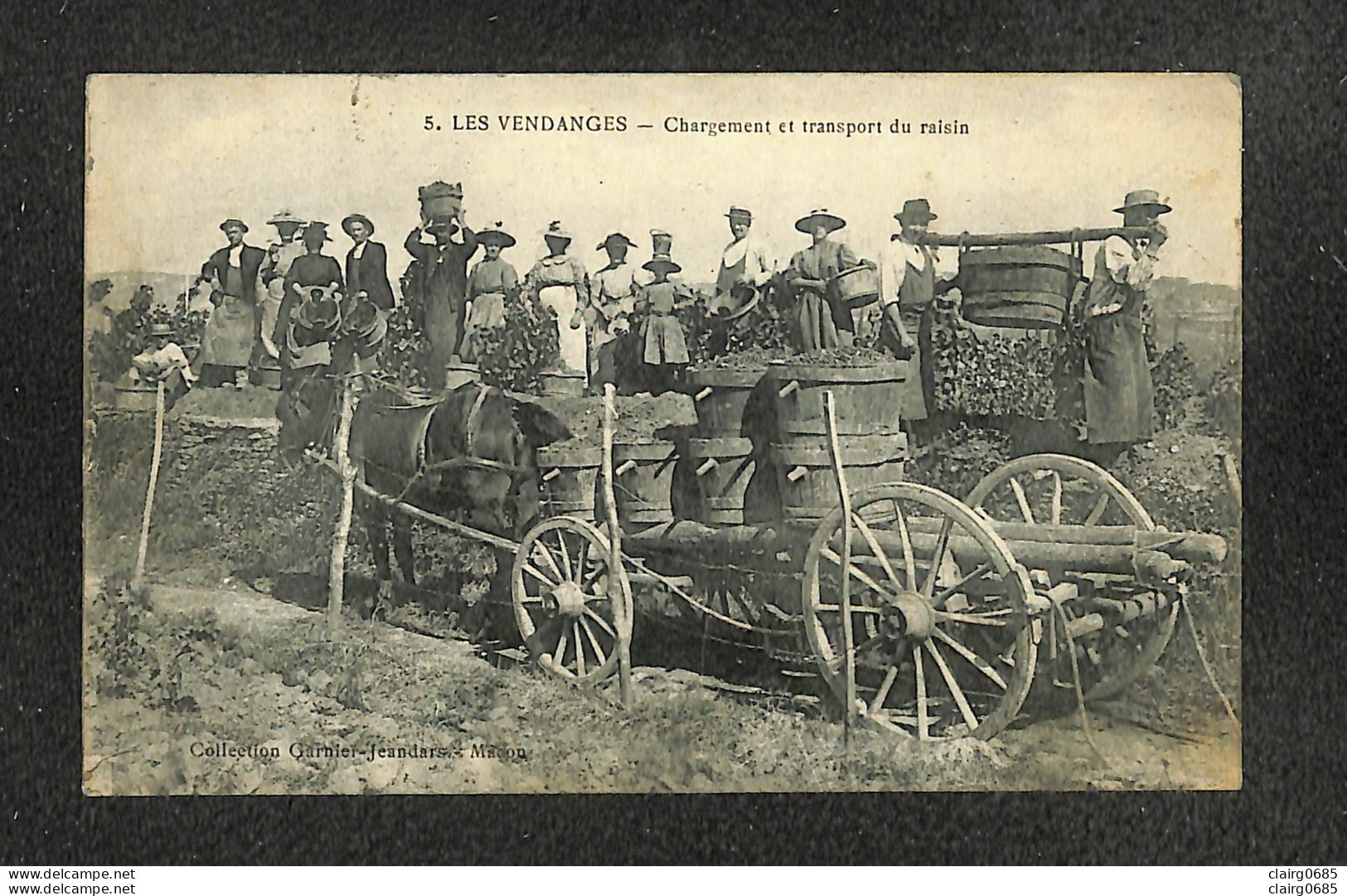 AGRICULTURE - VIGNES - LES VENDANGES - Chargement Et Transport Du Raisin - 1922 - Vignes