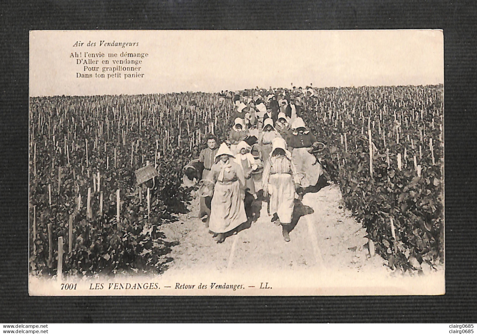 AGRICULTURE - VIGNES - LES VENDANGES - Retour Des Vendanges - Vignes