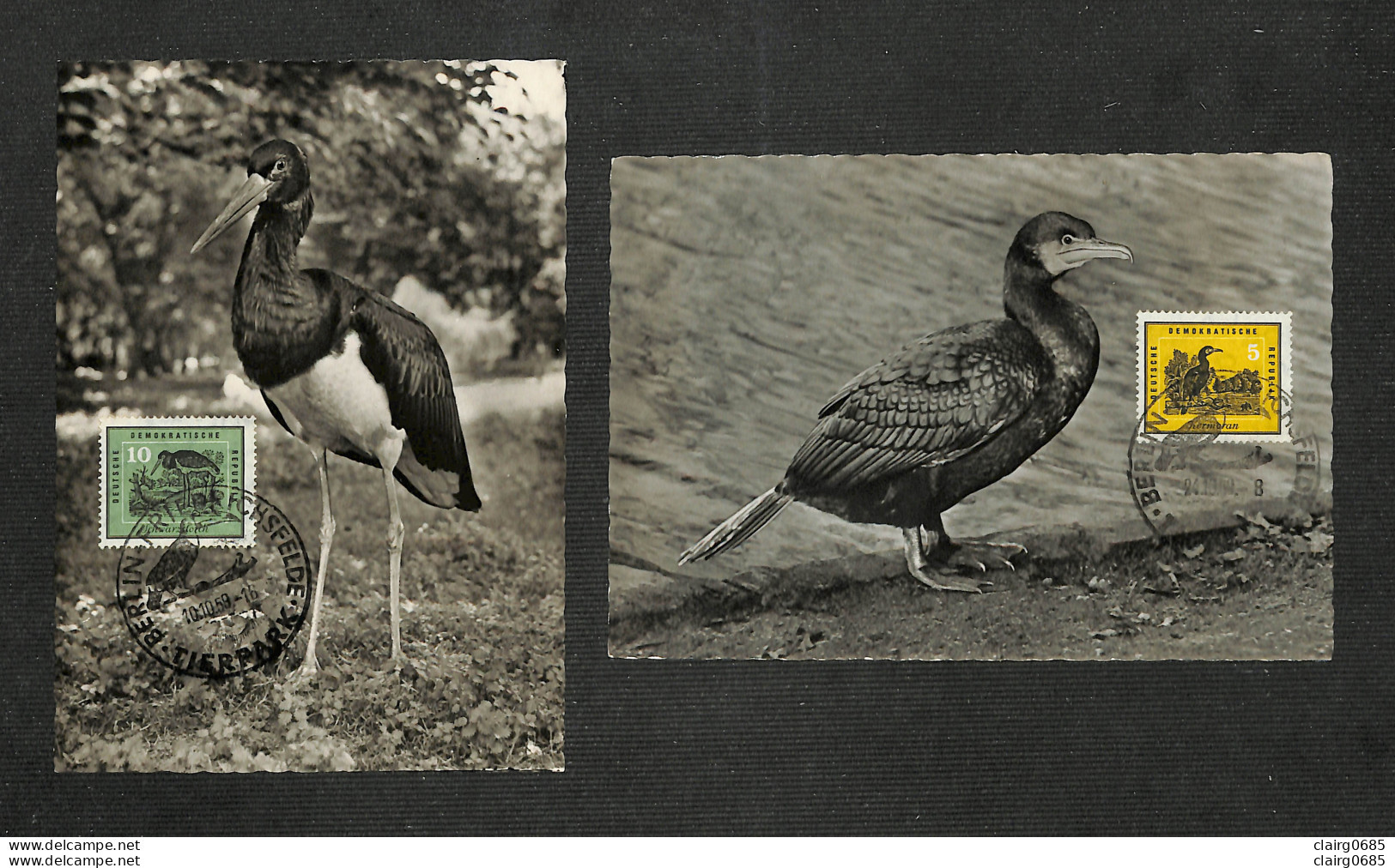 ALLEMAGNE - DDR - 2 Cartes Maximum 1959 - BERLIN - FRIEDRICHSEELDE - TIERPARK - Maximumkaarten