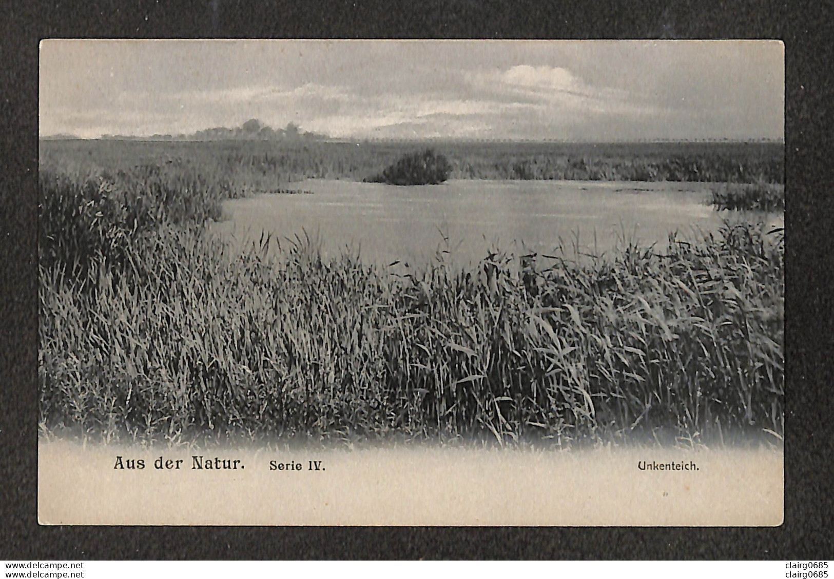 ALLEMAGNE - GOSLAR - AUS DER NATUR - Serie IV - Unkenteich - Goslar