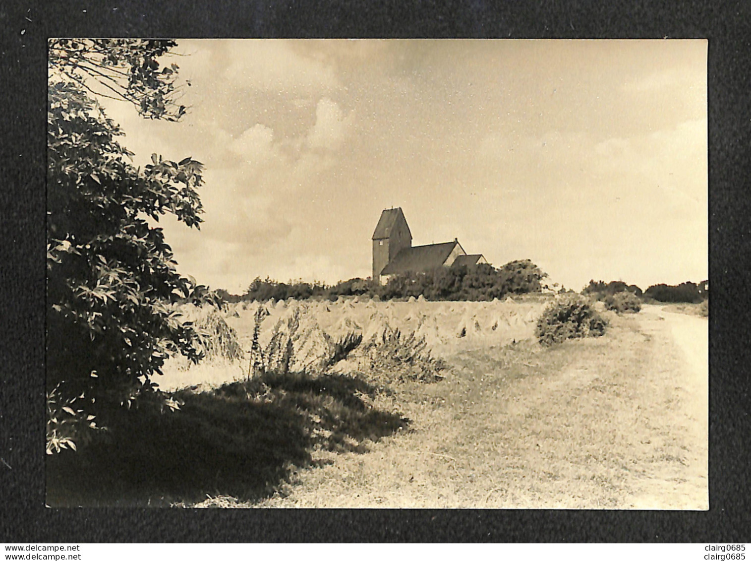 ALLEMAGNE - SYLTL - W. Braüner - Handabzug - Sylt