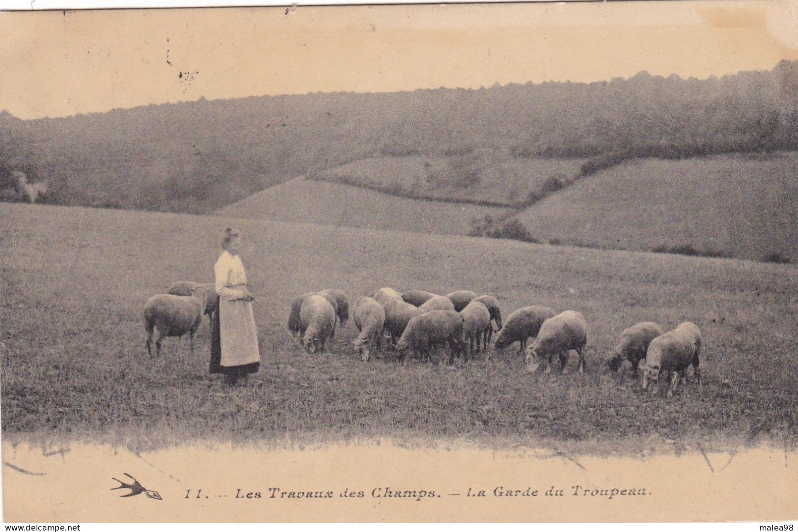 LES  TRAVAUX  Des  CHAMPS,,,,LA  GARDE  Du TROUPEAU,,,,,VOYAGE  1908,,,BE,,, - Elevage