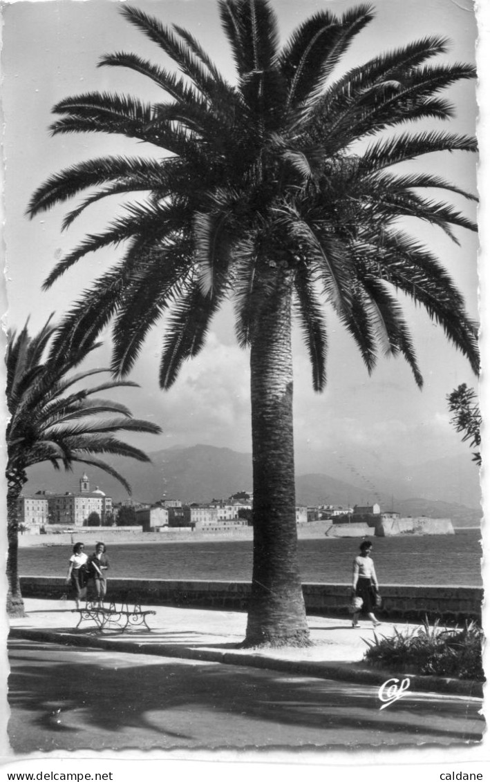 2A-CORSE -  AJACCIO -  Boulevard. Albert1° - Ajaccio