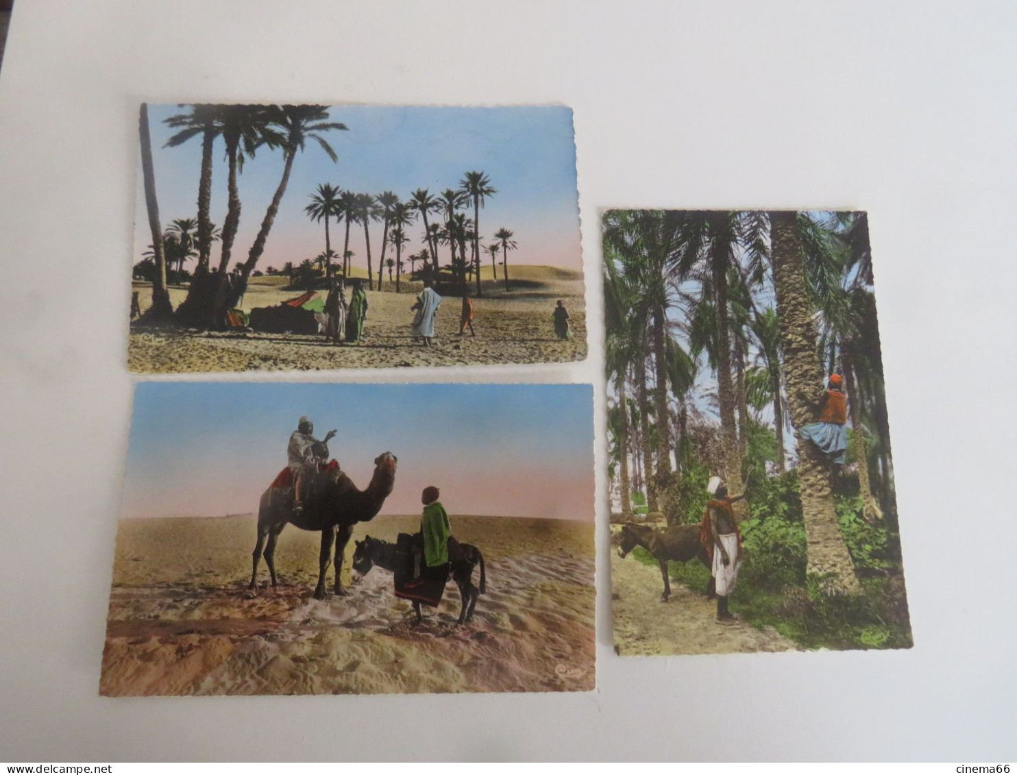 L'AFRIQUE ARTISTIQUE - Lot De 3 Cartes - Ohne Zuordnung