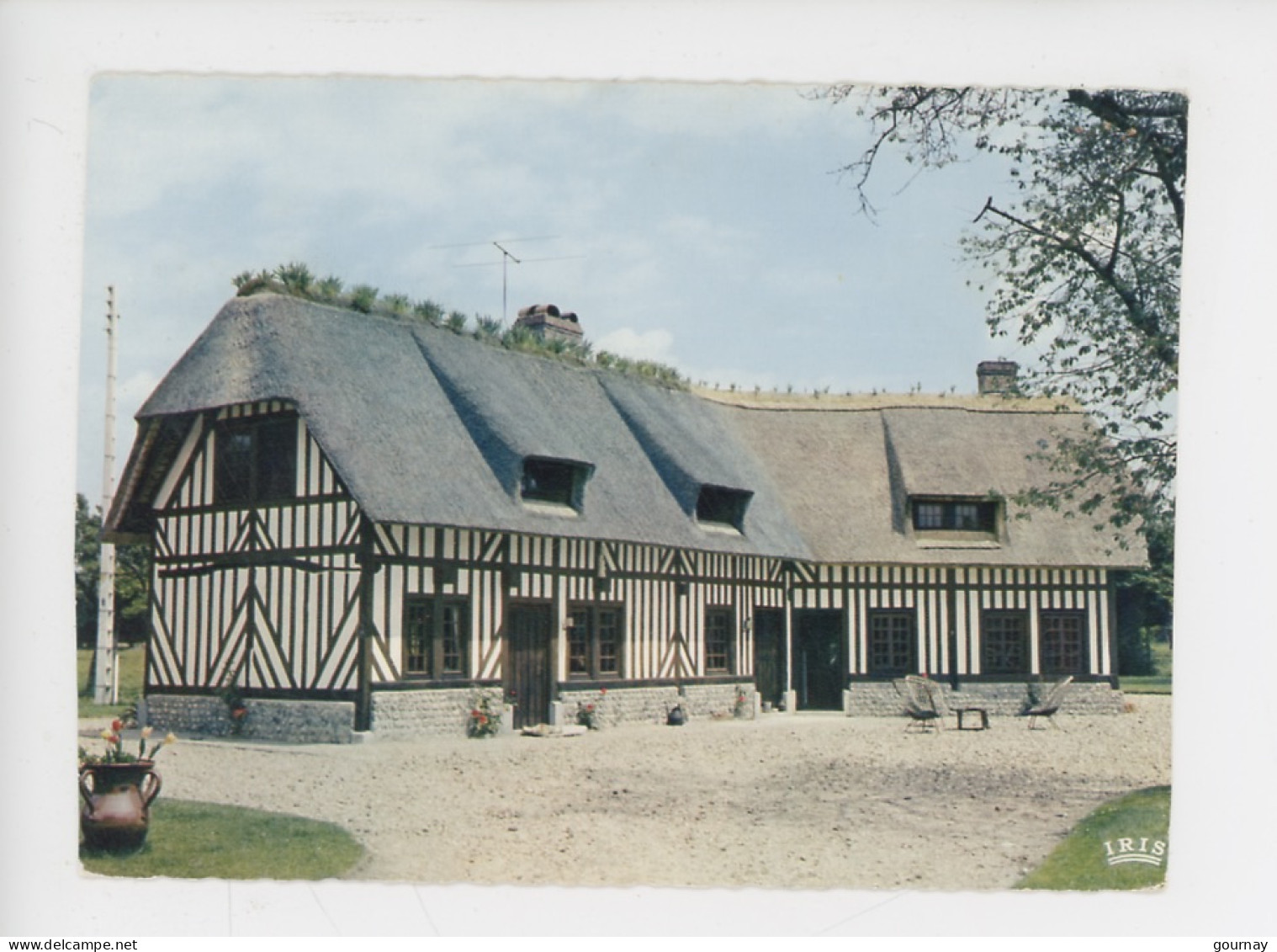 "La Mare Au Comte" Maison Normande Au Toit De Chaume - La Luxuriante Normandie Cp Vierge N°1663 Cap - Basse-Normandie