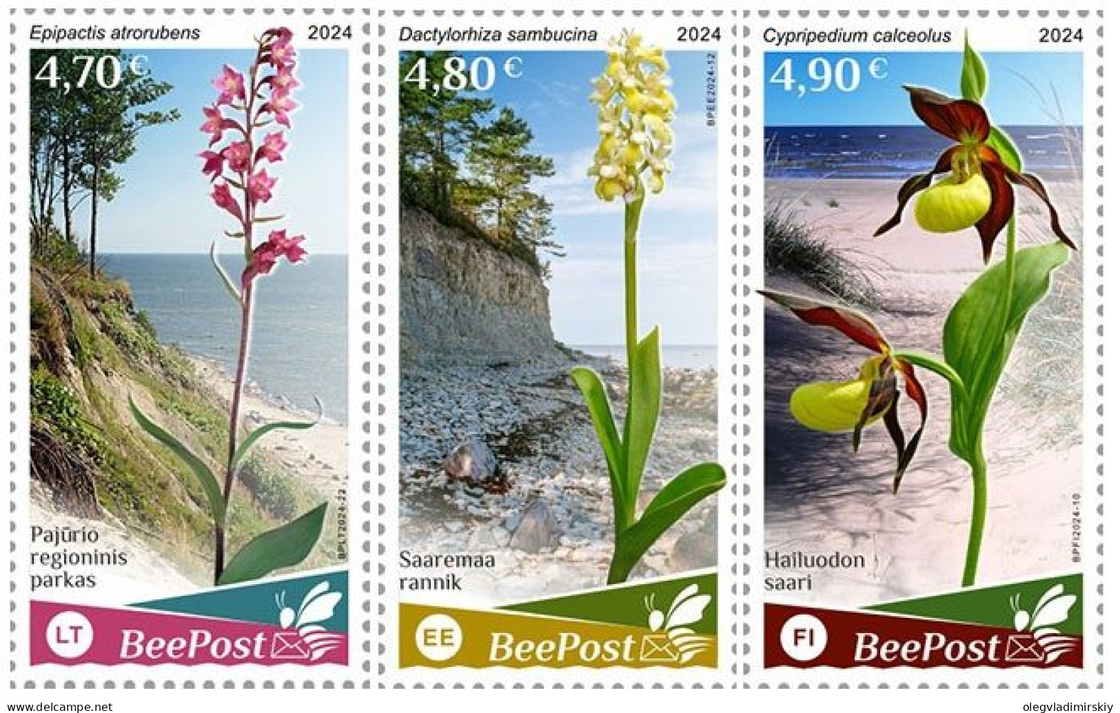 Estonia Finland Lithuania 2024 Water Flora And Fauna Orchids National Parks Europa BeePost Set Of 3 Stamps MNH - Orchideen