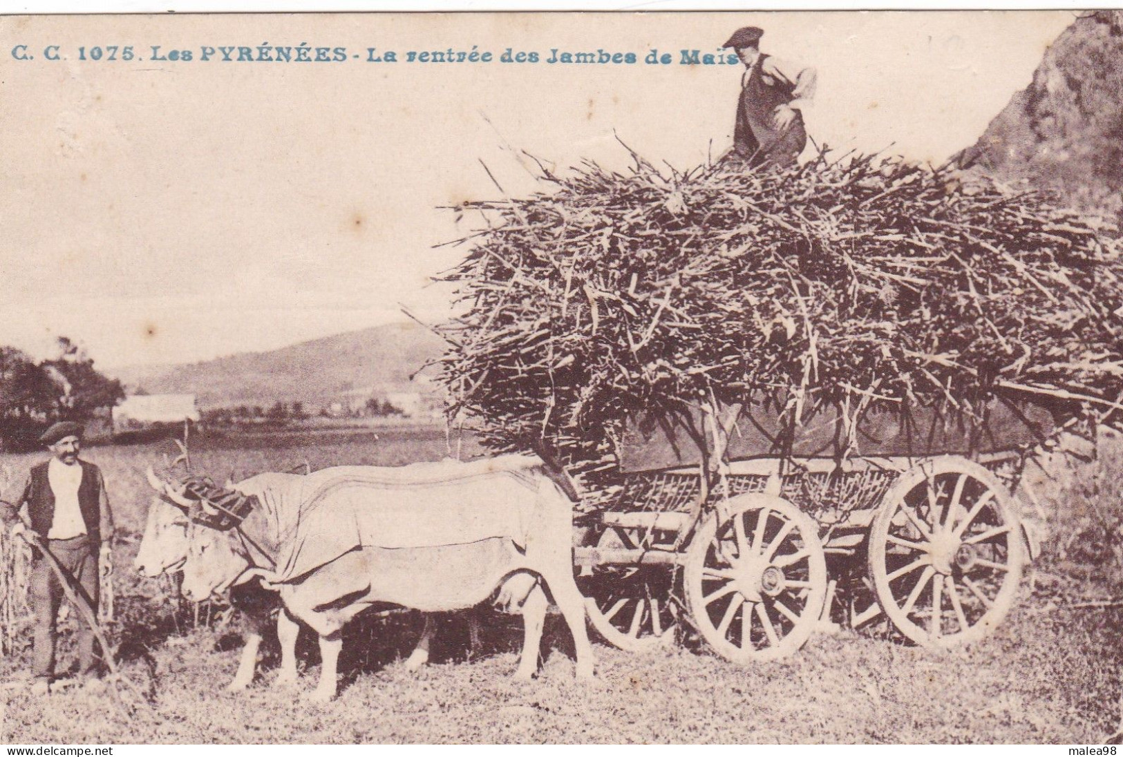 Les  PYRENEES ,,,,,LA  RENTREE Des JAMBES De  MAIS,,,,,ecrite 1934,,,,,TBE,,,,JOLIE CARTE,,, - Landbouw