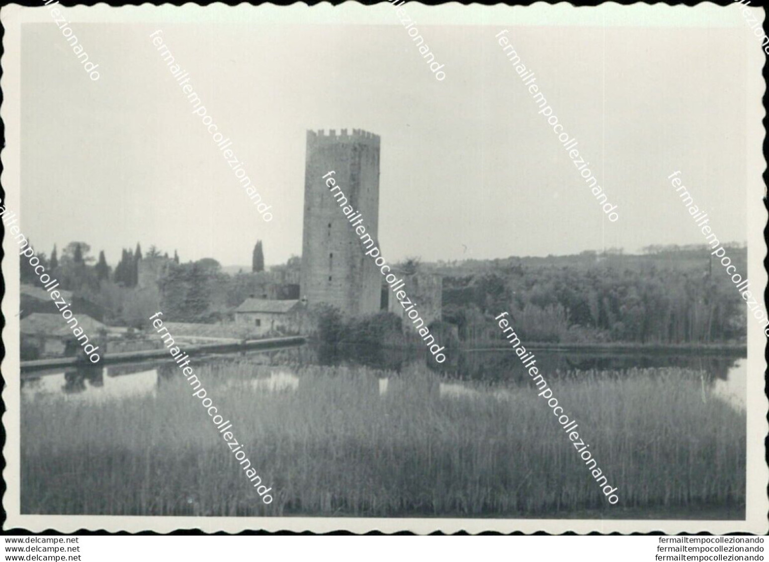 Az633 Foto Privata Ninfa 1954 Provincia Di Latina - Latina