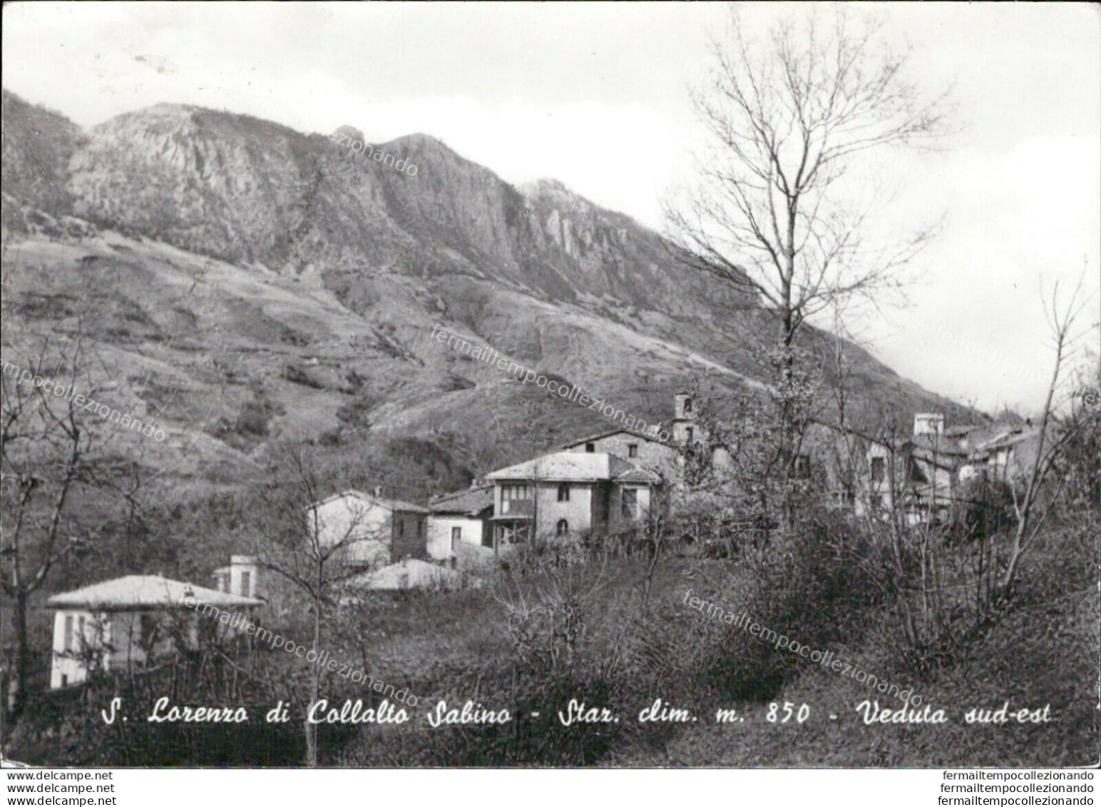 Al213 Cartolina S.lorenzo Di Collalto Sabino Provincia Di Rieti - Rieti