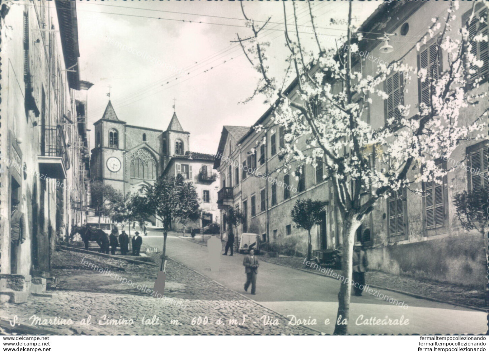 Ab511 Cartolina S.martino Al Cimino Via Doria La Cattedrale Provincia Di Viterbo - Viterbo