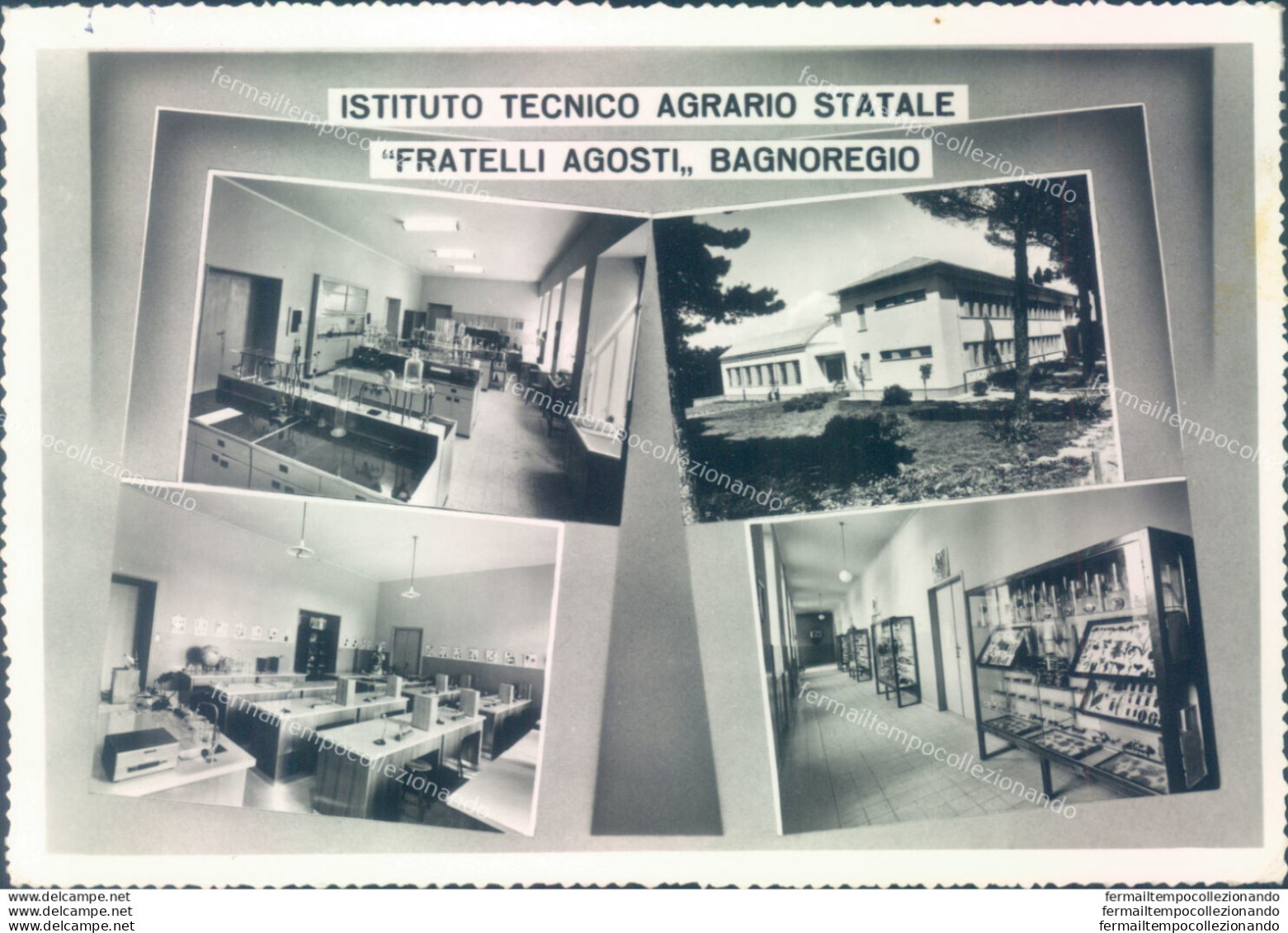 Ab572 Cartolina Bagnoregio Istituto Tecnico Agrario Statale Provincia Di Viterbo - Viterbo