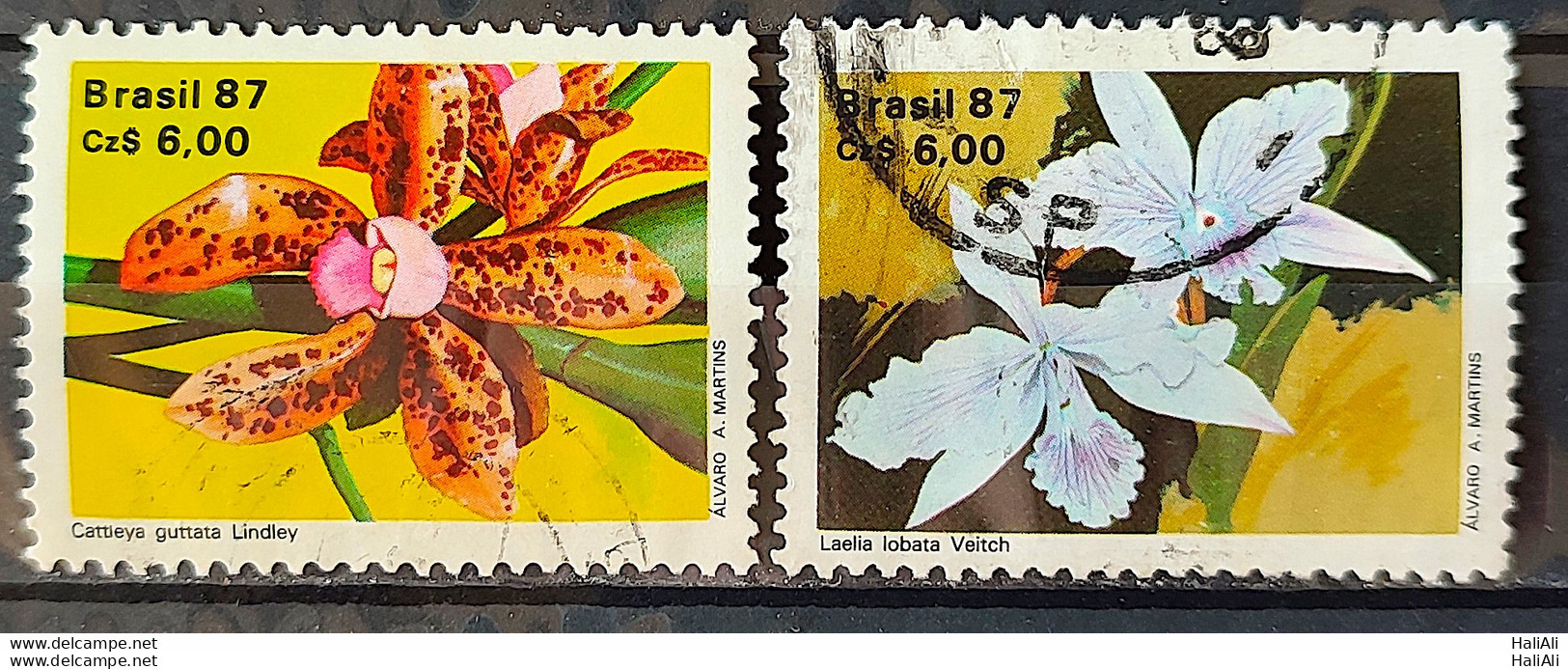 C 1572 Brazil Stamp 50 Years Brazilian Society For Orquidaphic Flora Orquidea 1987 Complete Series Circulated 6 - Used Stamps