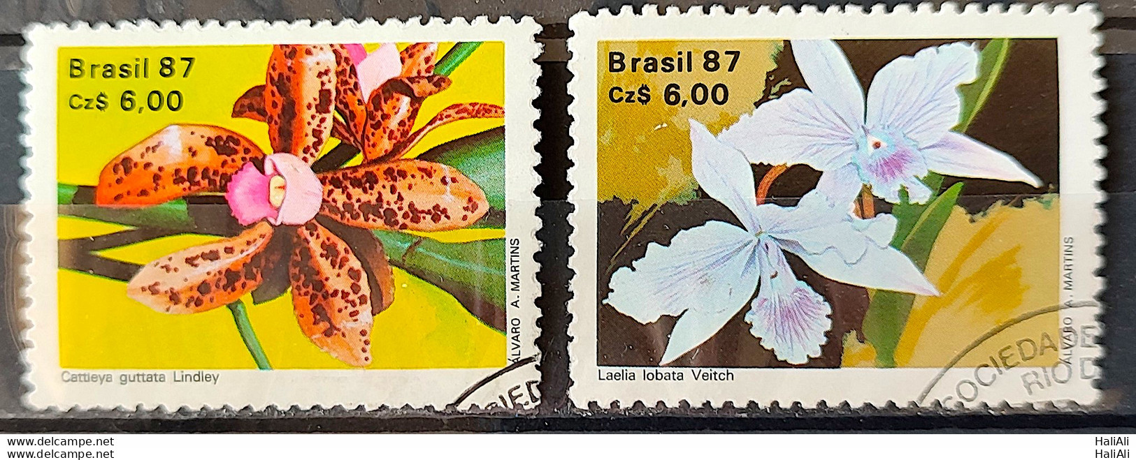 C 1572 Brazil Stamp 50 Years Brazilian Society For Orquidaphic Flora Orquidea 1987 Complete Series Circulated 7 - Used Stamps