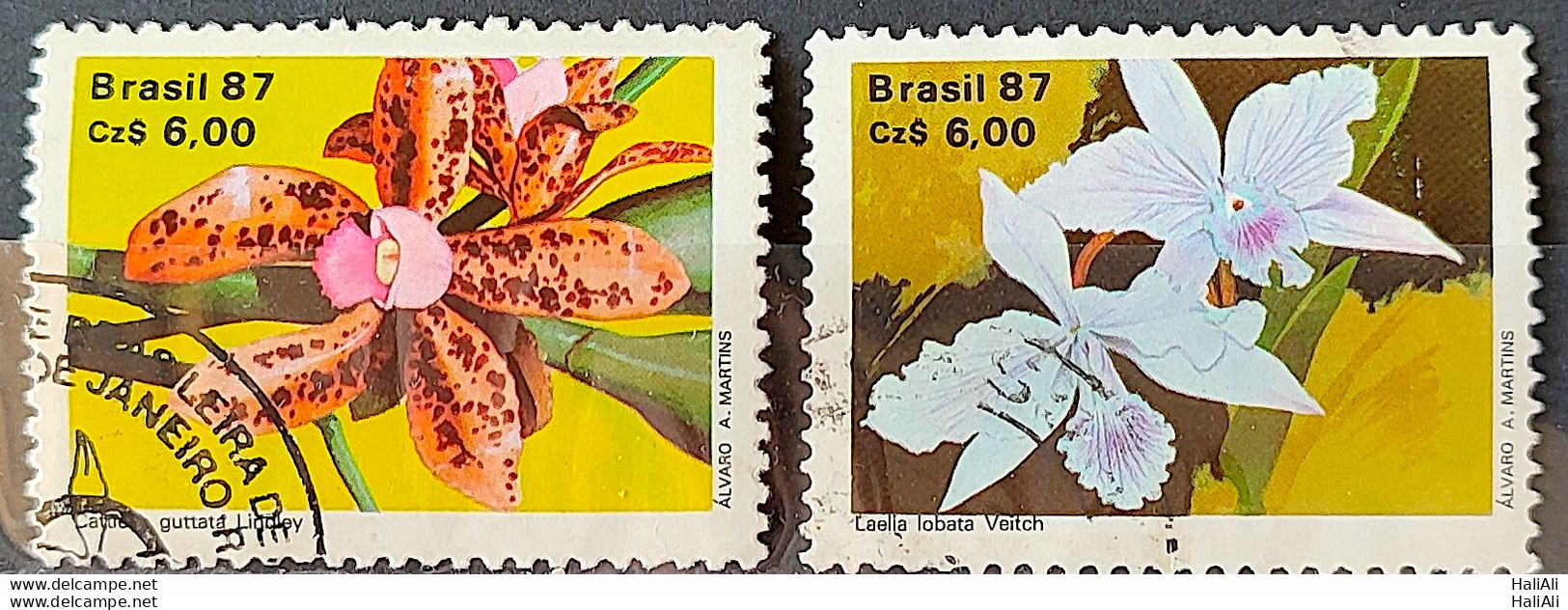 C 1572 Brazil Stamp 50 Years Brazilian Society For Orquidaphic Flora Orquidea 1987 Complete Series Circulated 5 - Usati